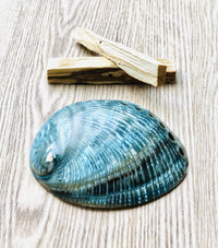 Thumbnail for Abalone Shell Smudge Bowl - Sentient Creations