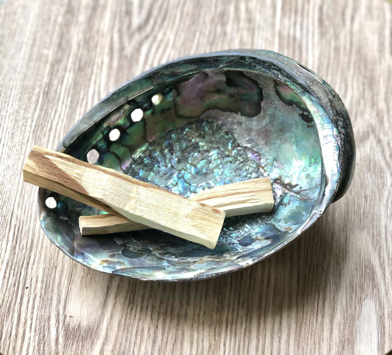 Abalone Shell Smudge Bowl - Sentient Creations