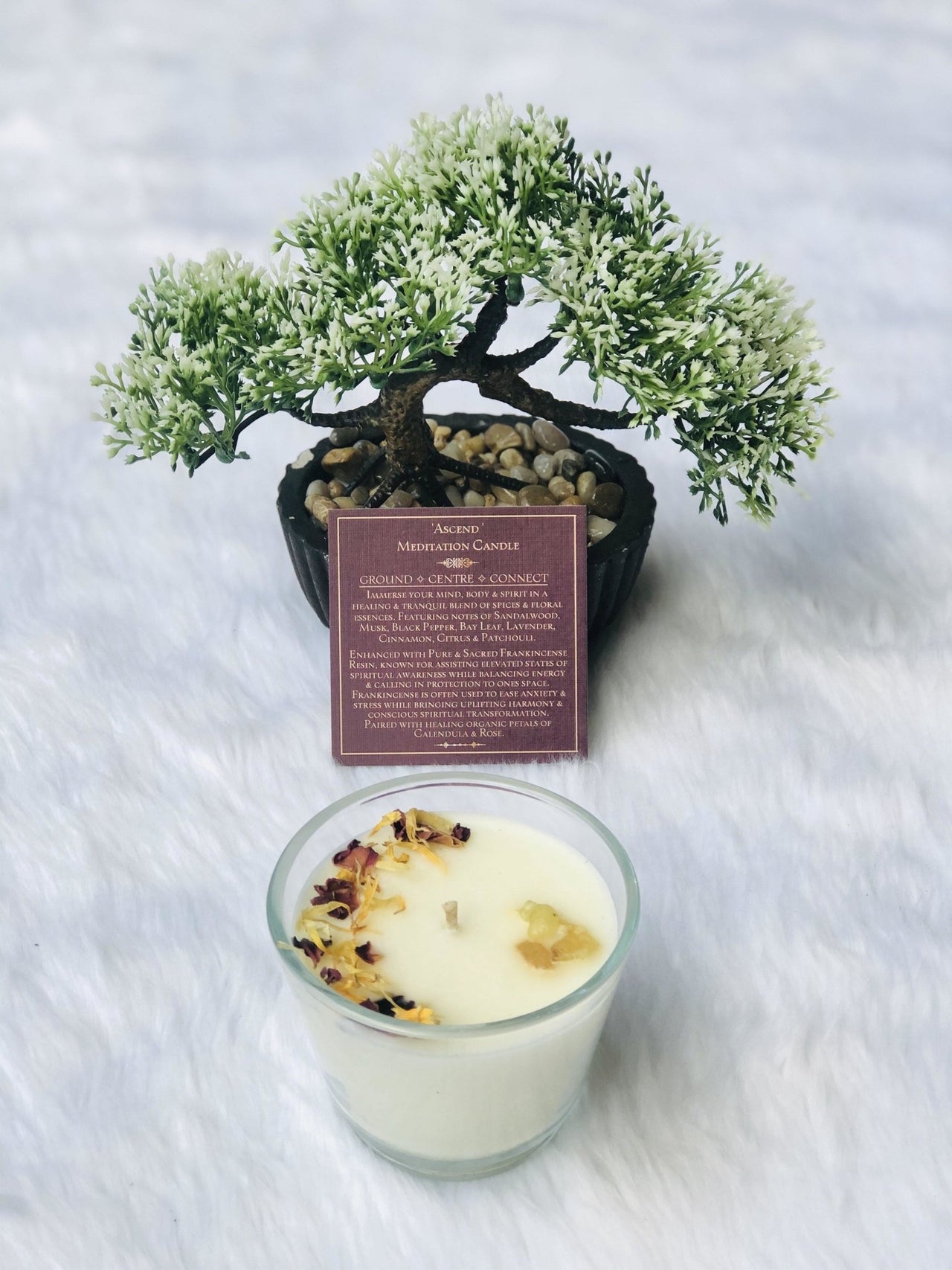 Ascend ~ Meditation Candle (Medium) - Sentient Creations