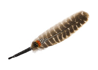 Thumbnail for The Complete 7 Chakras Collection - Shamanic Feather Wands - Sentient Creations