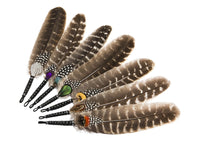 Thumbnail for The Complete 7 Chakras Collection - Shamanic Feather Wands - Sentient Creations